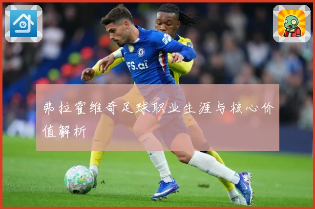 弗拉霍维奇足球职业生涯与核心价值解析